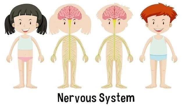 Le système nerveux somatique