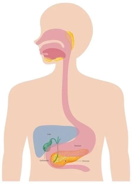 Gastrite nerveuse